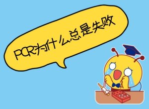 PCR為什么總是失??？——5個常見原因與解決辦法